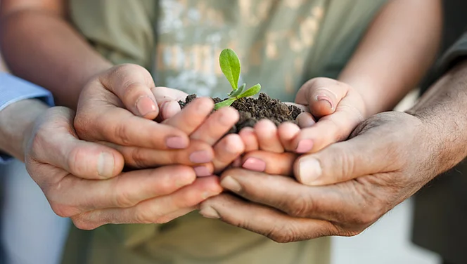 haende fotolia luckybusiness