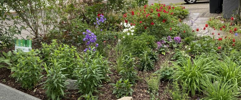 gartenstadt staudengarten